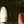 Load image into Gallery viewer, SELFISH - GREEN / BL-32