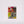 Load image into Gallery viewer, "BEST MATCH CORNER" by MATCH OKUDA/BLB-03
