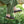 Load image into Gallery viewer, JOURNEY - KHAKI / BL-05NR3
