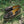 Load image into Gallery viewer, JOURNEY - KHAKI / BL-05NR3
